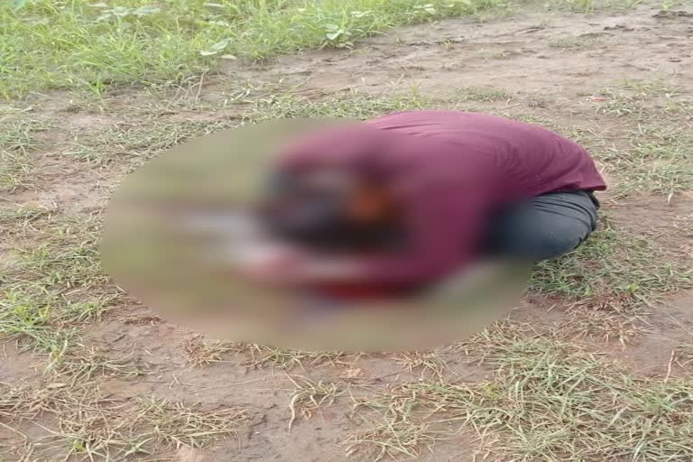 pali news,  rajasthan news,  youth murdered in pali,  youth murdered in jaitaran