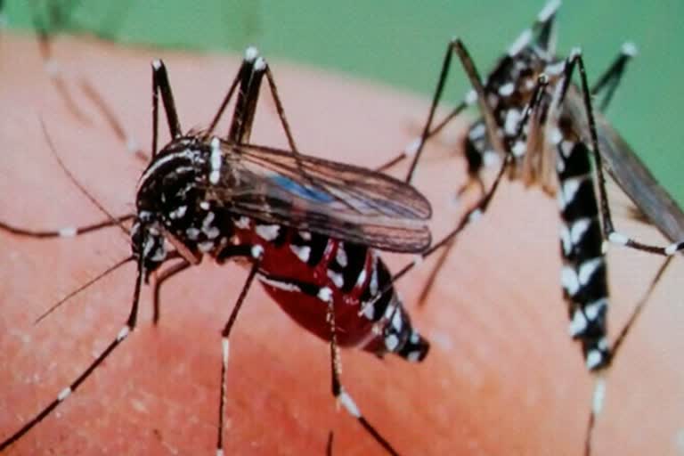 nuh Health Department on Alert for Malaria