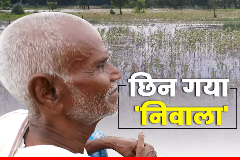 Farmers upset due to crop destroyed in floods in Gopalganj