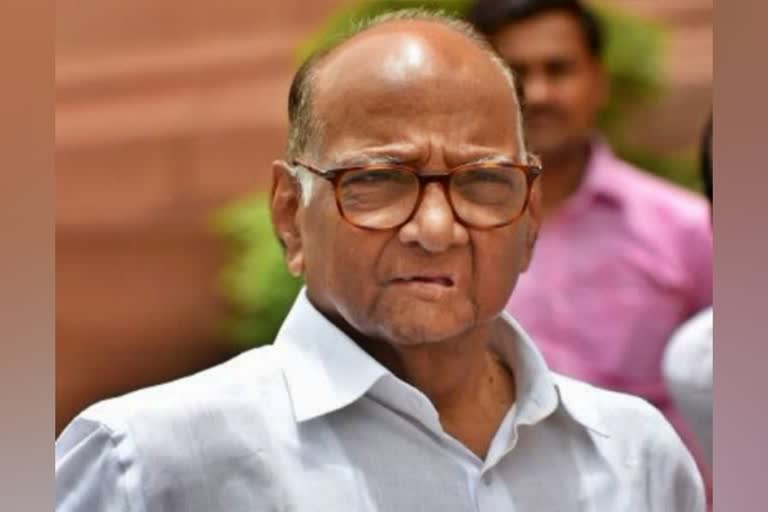 Nine people, including three security personnel, were killed at Sharad Pawar's residence