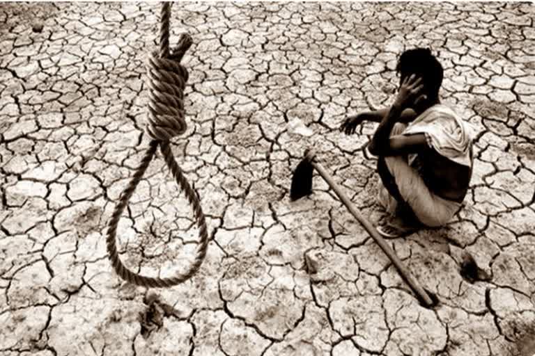 farmer suicide in chandrapur