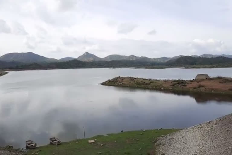 pali news, Jawai dam, monsoon