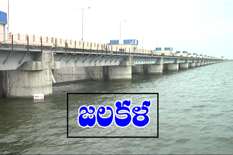 Non-stop rains .. heavy flood flow to ellampalli project