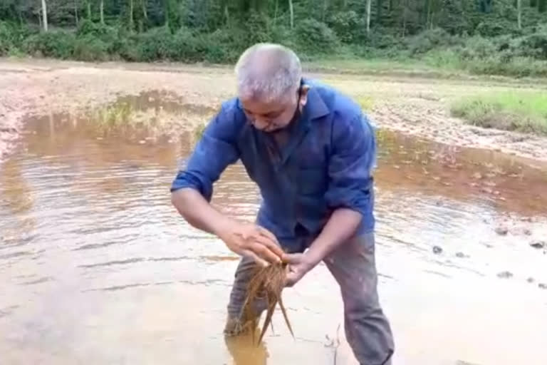 ಪ್ರವಾಹದ ನೀರಿಗೆ ಕೊಚ್ಚಿ ಹೋದ ರೈತರ ಬದುಕು