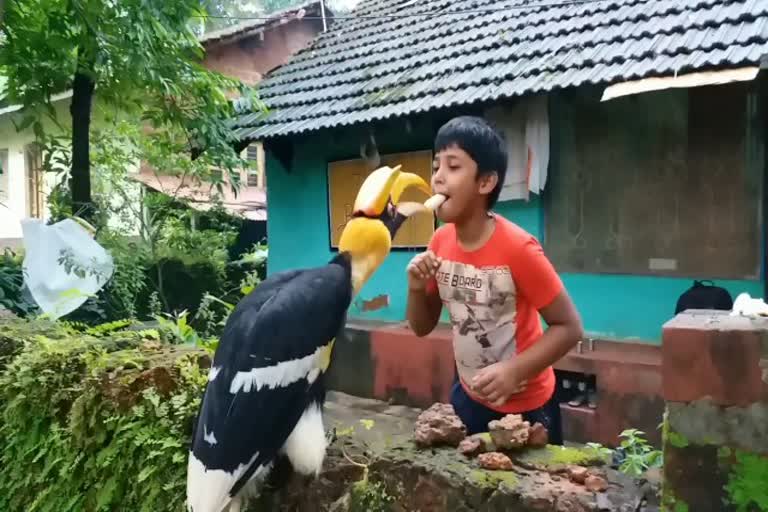 Attachment of a family with Bird