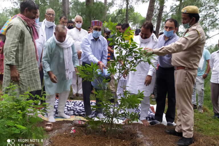 BJP spokesman Vinod Thakur plantstion in Hamirpur