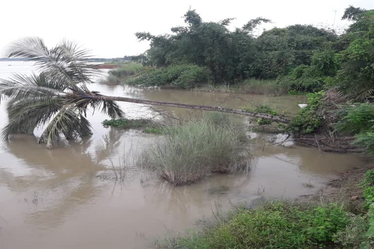 ganges, Shantipur