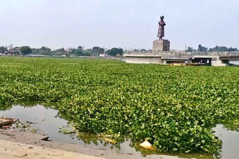 Dirt spreads in the big pond of Ranchi