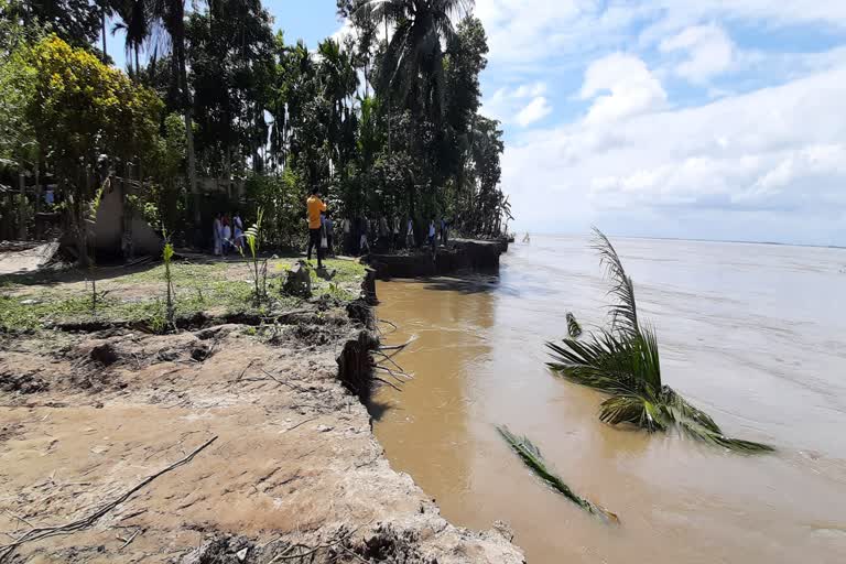 Danger Erosion at palashbari nahira