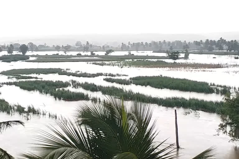 ಜಲಾವೃತವಾಗುವ ಭೀತಿಯಲ್ಲಿ ರಾಮದುರ್ಗ ಪಟ್ಟಣದ ಗ್ರಾಮಗಳು