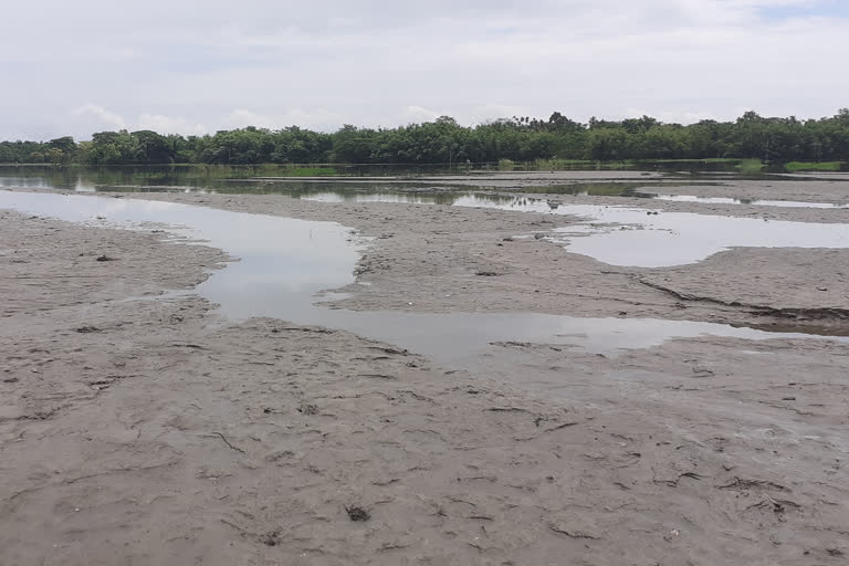 ধেপাৰগাঁৱৰ খেতি পথাৰ