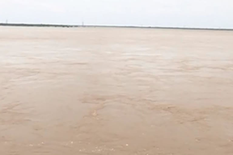 godavari floods latest updates