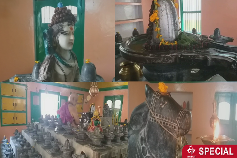 कैलाशेश्वर महादेव मंदिर में स्थापित है 171 शिवलिंग