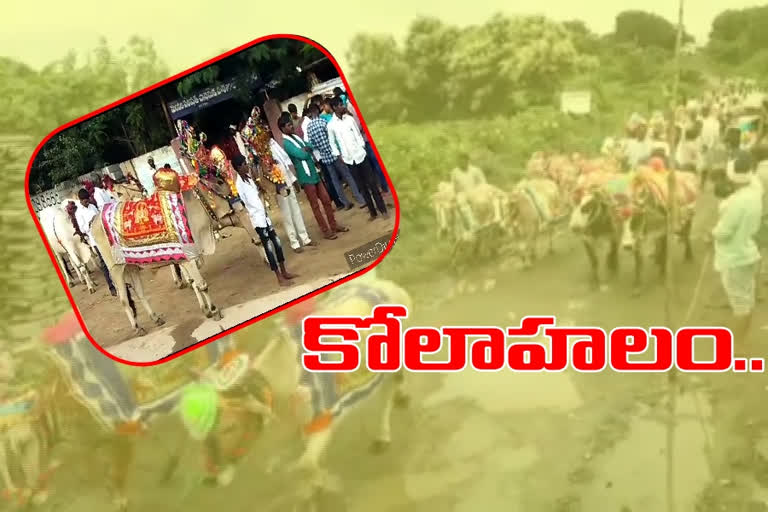 grand celebrations of polala fest at adilabad