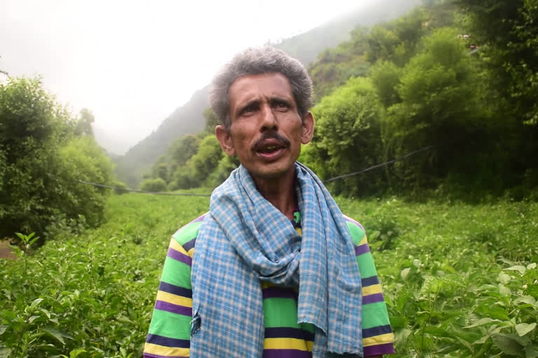 shimla farmer Bhopal Singh