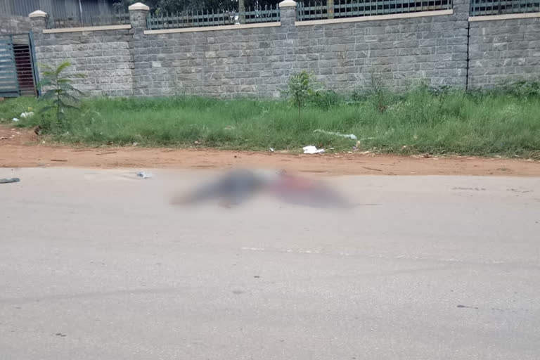 man died in Bangalore, man died in accident, hit and run, Bangalore hit and run, Bangalore hit and run news, ಬೆಂಗಳೂರಿನಲ್ಲಿ ವ್ಯಕ್ತಿ ಸಾವು, ಅಪಘಾತದಲ್ಲಿ ವ್ಯಕ್ತಿ ಸಾವು, ಹಿಟ್​ ಅಂಡ್​ ರನ್​, ಬೆಂಗಳೂರಿನಲ್ಲಿ ಹಿಟ್​ ಅಂಡ್​ ರನ್​, ಬೆಂಗಳೂರು ಹಿಟ್​ ಅಂಡ್​ ರನ್​ ಸುದ್ದಿ,