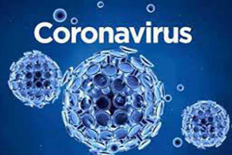 coronavirus positive in paonta