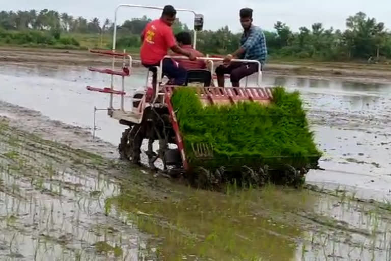 Introduce of news Planting paddy Machine by SKDRDB