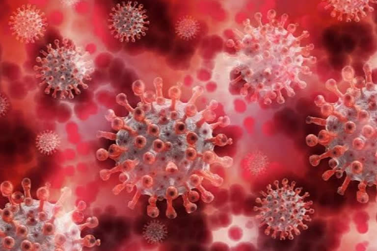 53 new cases of corona virus in Siddharth Nagar