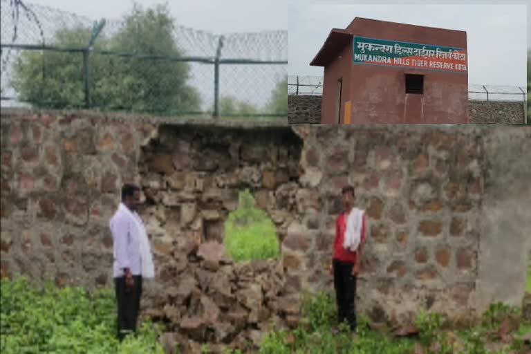 tiger reserve Mukundara of kota,  kota news