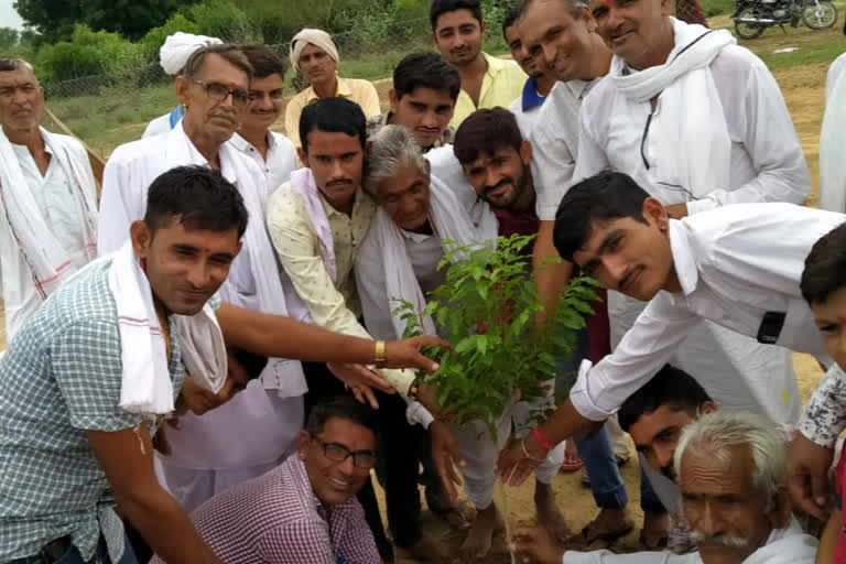 Plantation program organized, पौधारोपण कार्यक्रम का आयोजन,