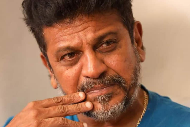 Elephant adoption by Actor Shivaraj Kumar, Elephant adoption by Actor Shivaraj Kumar in Mysore, Shiva kumar  Elephant adoption news, ಶಿವರಾಜ್ ಕುಮಾರ್​ರಿಂದ ಆನೆ ದತ್ತು ಸ್ವೀಕಾರ, ಮೈಸೂರಿನಲ್ಲಿ ಶಿವರಾಜ್ ಕುಮಾರ್​ರಿಂದ ಆನೆ ದತ್ತು ಸ್ವೀಕಾರ, ಶಿವರಾಜ್​ ಕುಮಾರ್​ ಆನೆ ದತ್ತು ಸ್ವೀಕಾರ ಸುದ್ದಿ,