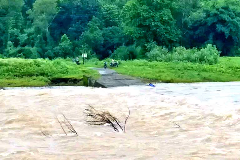 low level birdge in valsad