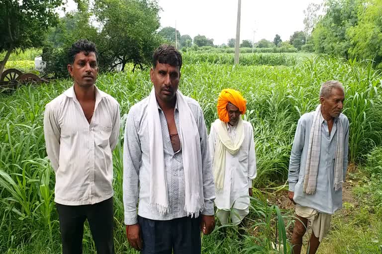 Mandsaur farmer