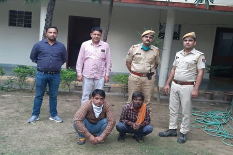 Go smuggler arrested, Cow smuggling in Jaipur