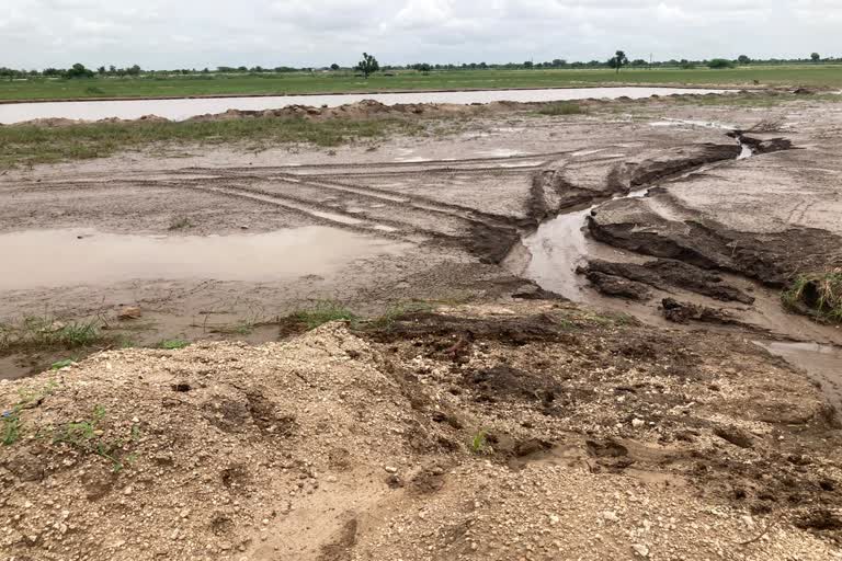 thousands of bigha crops collapsed,  dam in bilara,  Illegal mining