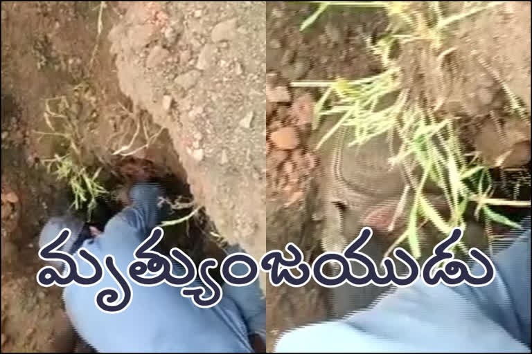 గుంతలో ఇరుక్కున్న కార్మికుడు.. రక్షించిన రైల్వే సిబ్బంది