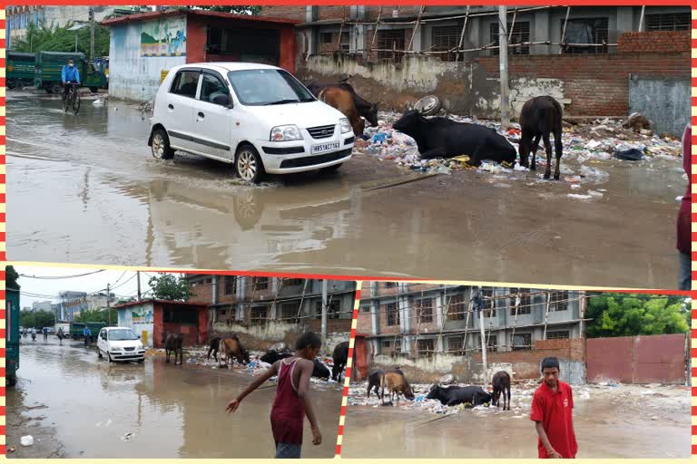 Waterlogging problem in Okhla Phase 1 in South Delhi