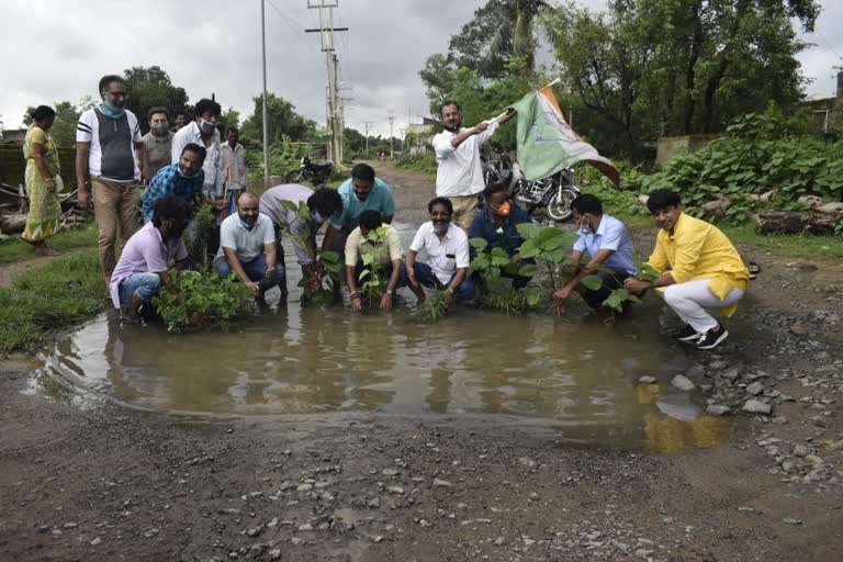 congress protests by planting trees