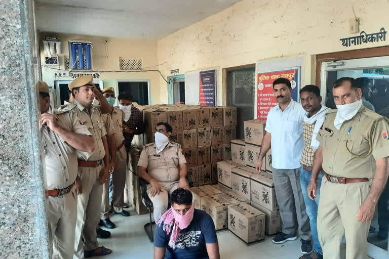 pali news, illegal liquor, accused arrested