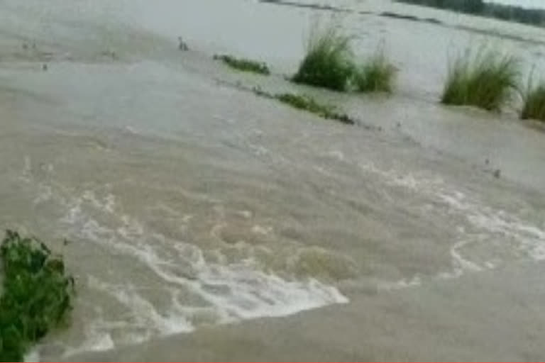 heavy rains in jayashankar bhupalpally district