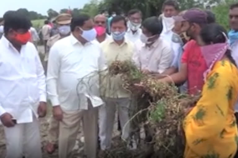 నష్టపోయిన పంటలను పరిశీలించిన మంత్రి ఎర్రబెల్లి