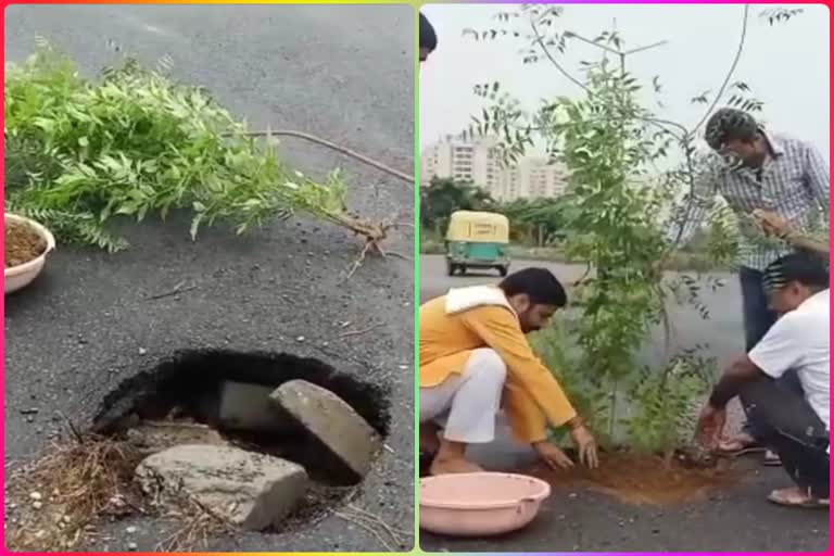 Corruption Free India workers planted saplings in pits of road of Greater Noida