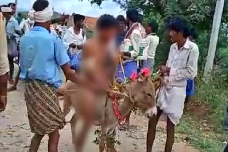 villagers-paraded-cattle-thief-on-donkey