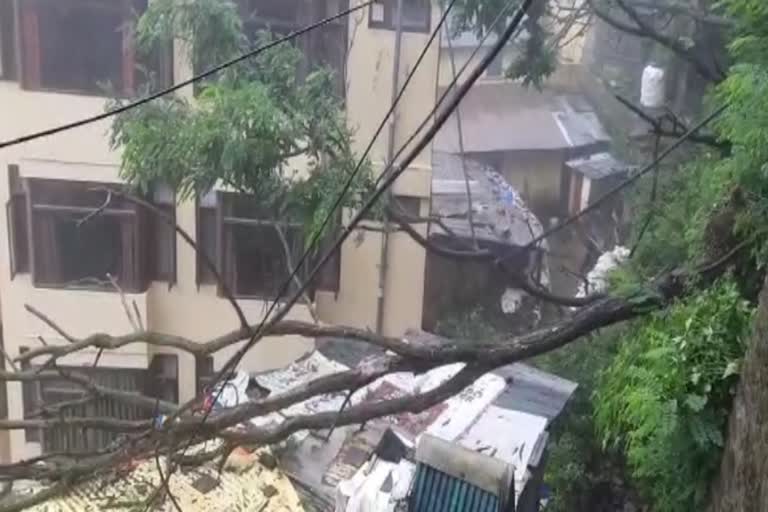 Tree fell on house in Fingas area