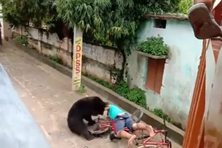 ഒഡീഷയിൽ കരടിയുടെ ആക്രമണം; ജനങ്ങൾ ആശങ്കയിൽ  Wild bear attacks man at residential area in Odisha's Kalahandi