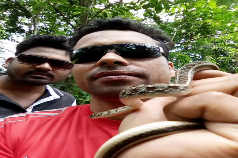 Nalbari snake man