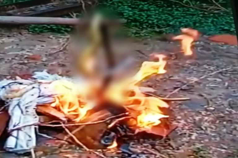 junior engineer of electricity corporation burnt snake alive in nuh