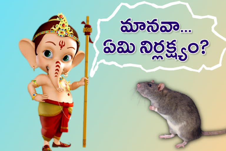 ganesh reaction on today festival