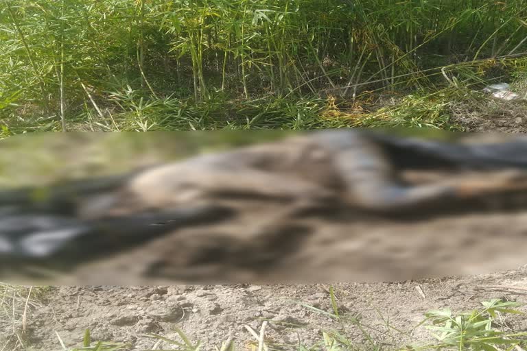 ONE YOUTH DEADBODY RECOVERED AT BARPETA