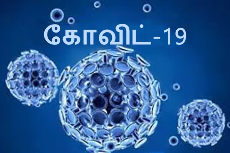 மதுரையில் கரோனாவிலிருந்து குணமடைந்து வீடு திரும்புவோரின் எண்ணிக்கை அதிகரிப்பு!