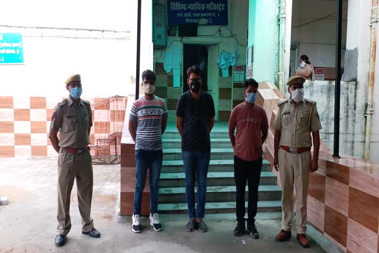 Sex racket,  Sex racket in bhilwara