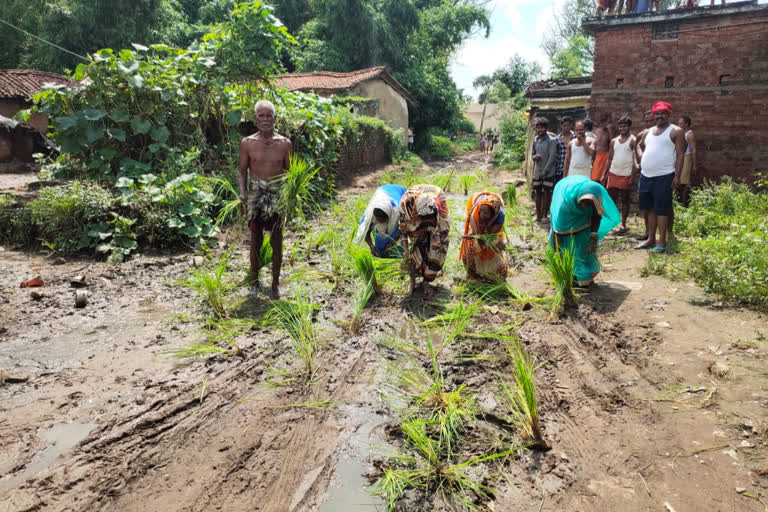 road condition of ukrid village