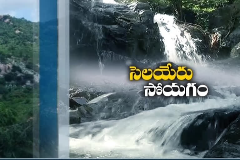 ramachandrapuram waterfall