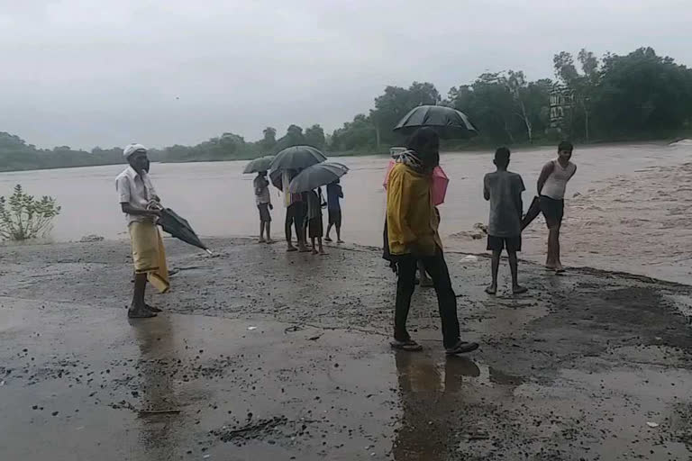 heavy rains in many district of mp in next 24 hours