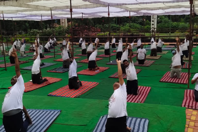 yoga program in raipur on the occassion